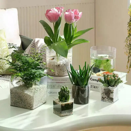Transparent Acrylic Plant Pot | Square & Round Bonsai Planter Acrylic Plant Pot Peaceful Pleasures Health and Wellness