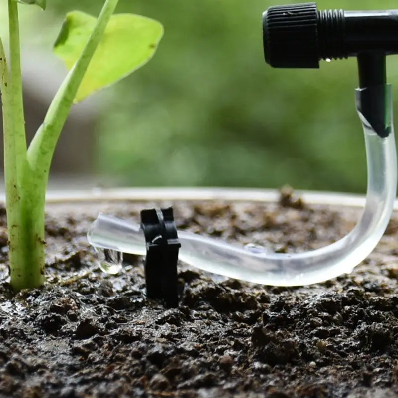 Automatic Drip Irrigation Self-Watering Spike | DIY Plant Waterer