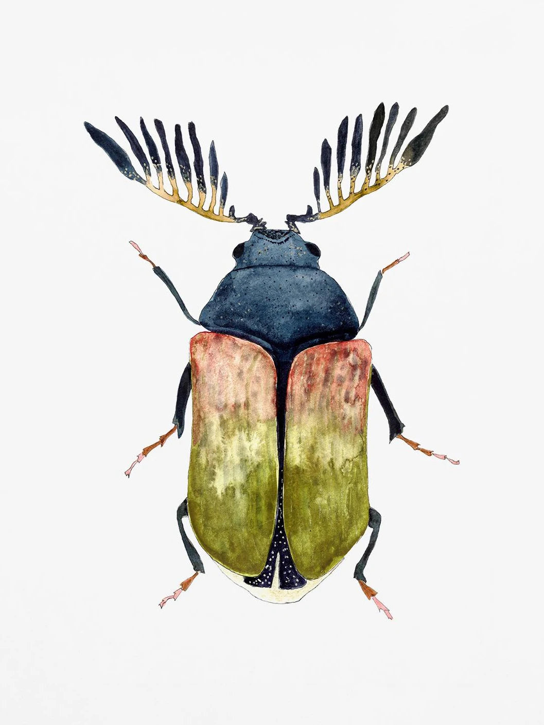 Watercolor Insect Canvas Print | Nursery & Kids Room Wall Art