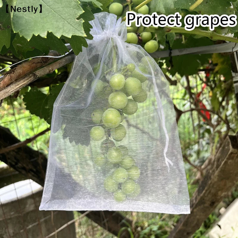 50Pcs Grapes Fruit Protection Bags Pest Control Anti-Bird Garden Netting Bags Mesh Agricultural Tree Garden Tool Bags〔Nest〕 Peaceful Pleasures Health and Wellness