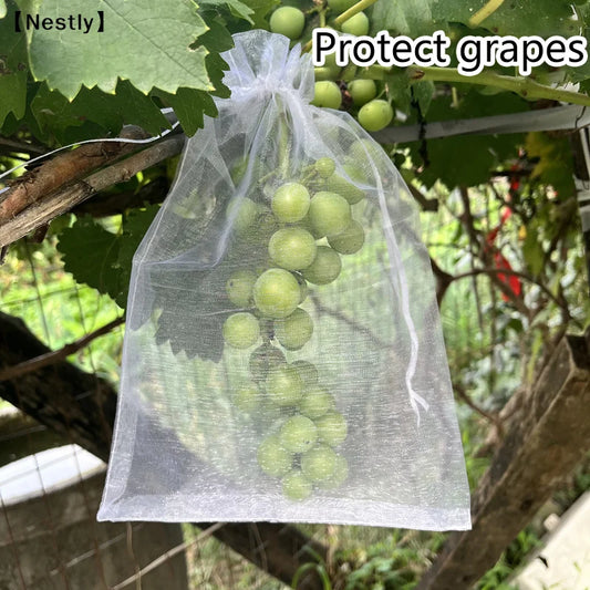 50Pcs Grapes Fruit Protection Bags Pest Control Anti-Bird Garden Netting Bags Mesh Agricultural Tree Garden Tool Bags〔Nest〕 Peaceful Pleasures Health and Wellness