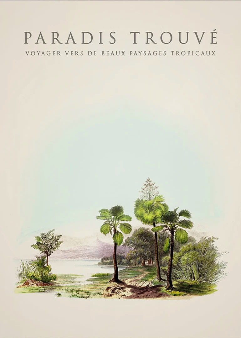Tropical Palm & Banana Tree Vintage Botanical Canvas Wall Art Botanical Canvas Print Peaceful Pleasures Health and Wellness 12 40x50cm