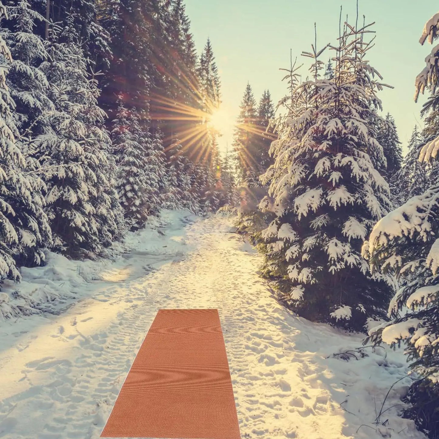 Anti-Slip Winter Walkway Runner Mat 300x40cm | Stairs & Porch