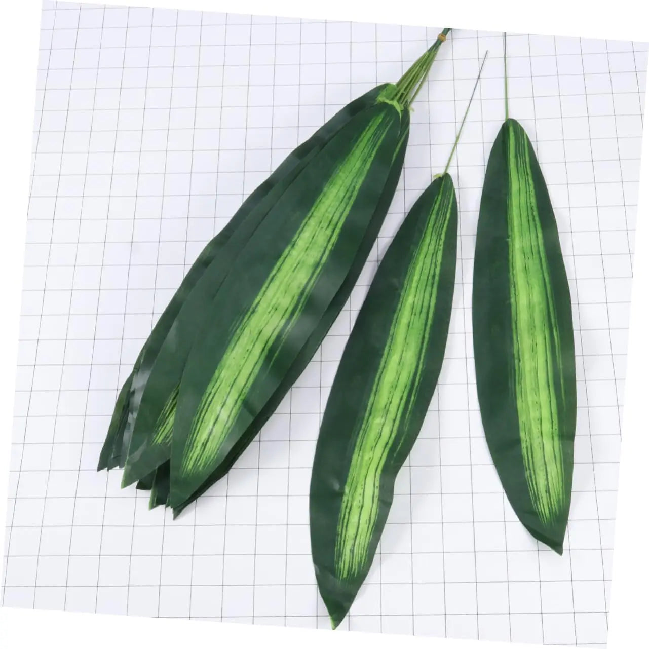 20pcs Artificial Bird of Paradise Palm Leaves 19.5" – Silk Decor