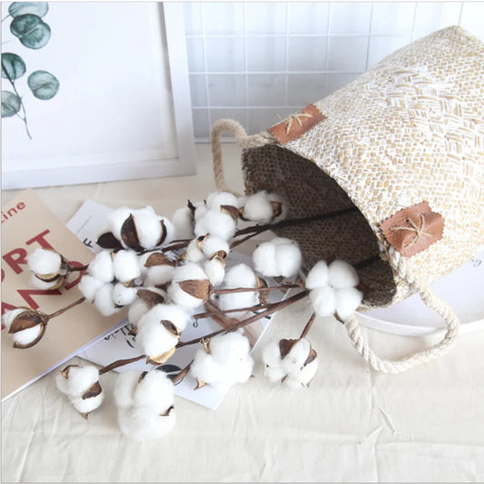 Dried Cotton Stem Branches | Natural Floral Décor for Weddings Dried Floral Stems Peaceful Pleasures Health and Wellness