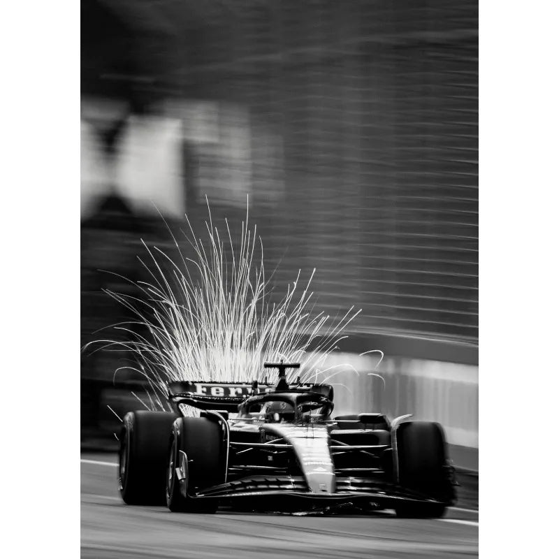 Black and White Famous Racing Sports Car Racer Photography Poster Printed Canvas Painting Wall Art Pictures Home Decor Gift Peaceful Pleasures Health and Wellness 11 20x30cm Unframed