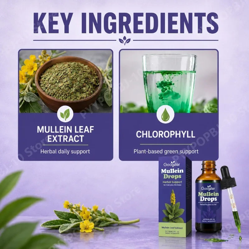 Googeer Mullein Leaf Extract Drops with Chlorophyll – 60ml