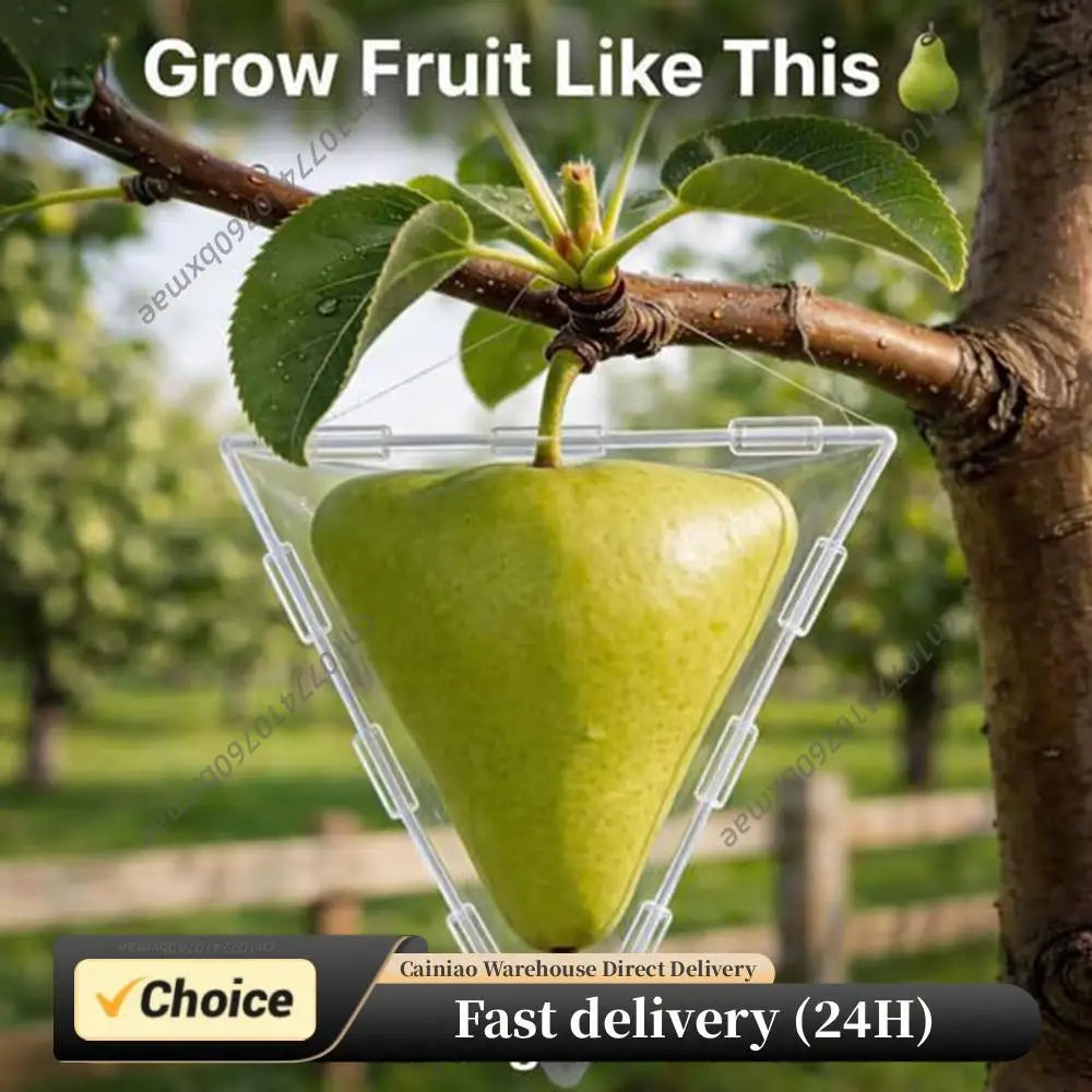 Mini Cube Fruit Shaping Mould for Growing Unique Reusable Grow Sculpture Mini Transparent Plastic Mould for Home Garden Balcony Peaceful Pleasures Health and Wellness