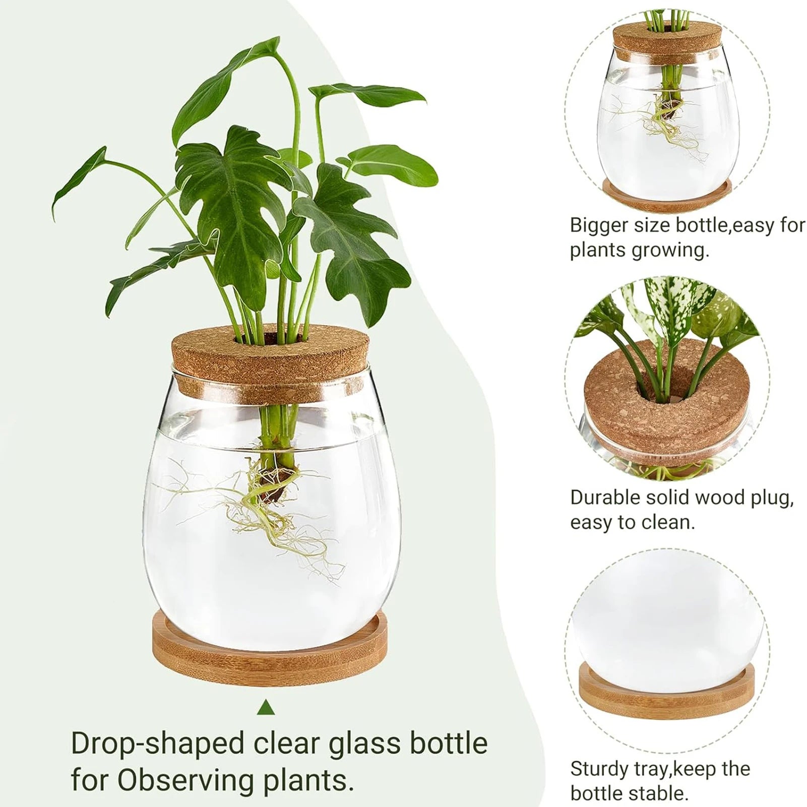 Plant Terrarium Transparent Vase Desktop Propagation Stations Glass Planter For Office Home Garden Decor Peaceful Pleasures Health and Wellness
