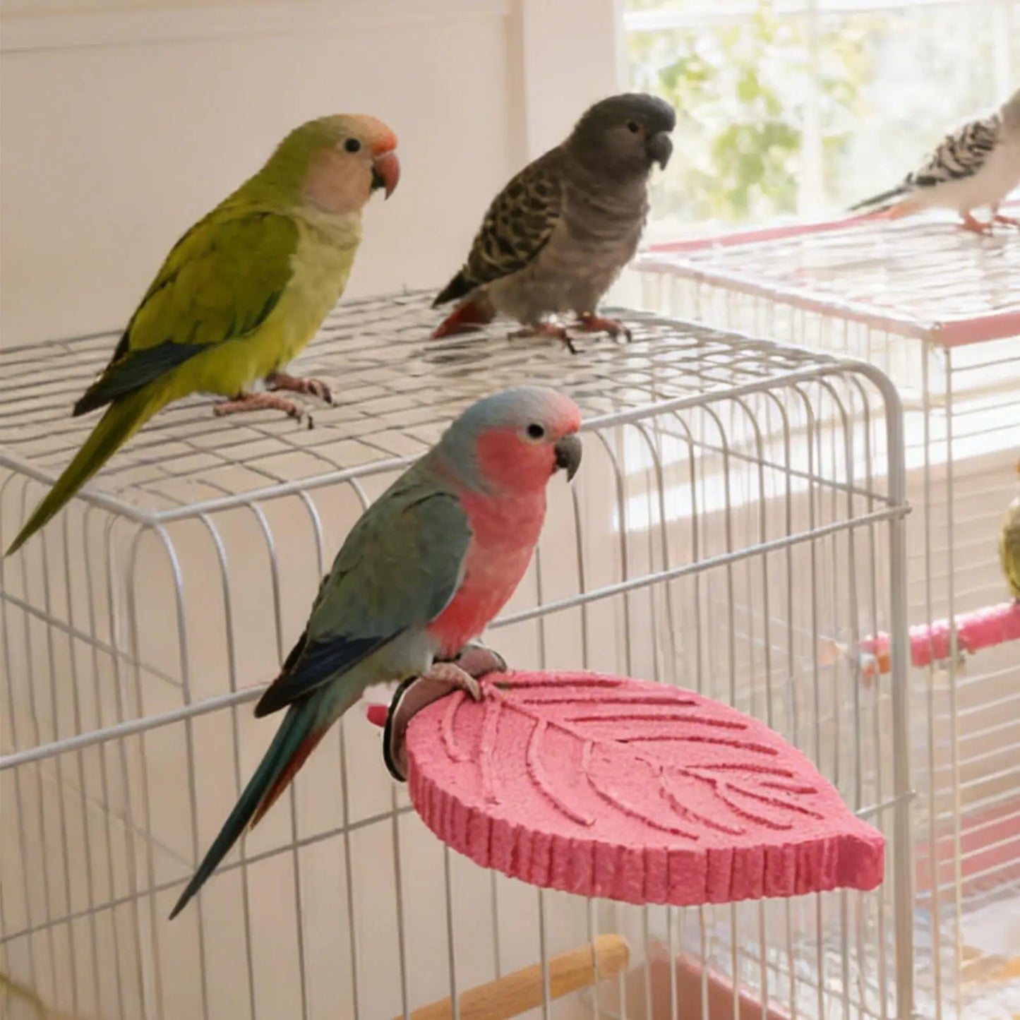 Resin Bird Perch Stand for Cockatiels & Parakeets | Cage Toy
