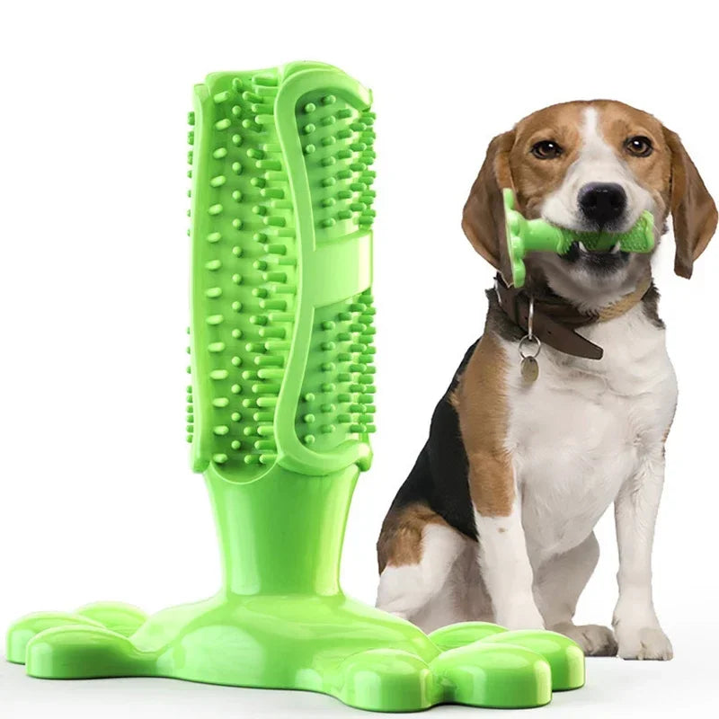 Cactus Dog Chew Toy | Rubber Treat Dispenser & Teeth Cleaner Dog Chew Toy Peaceful Pleasures Health and Wellness green 126x125mm