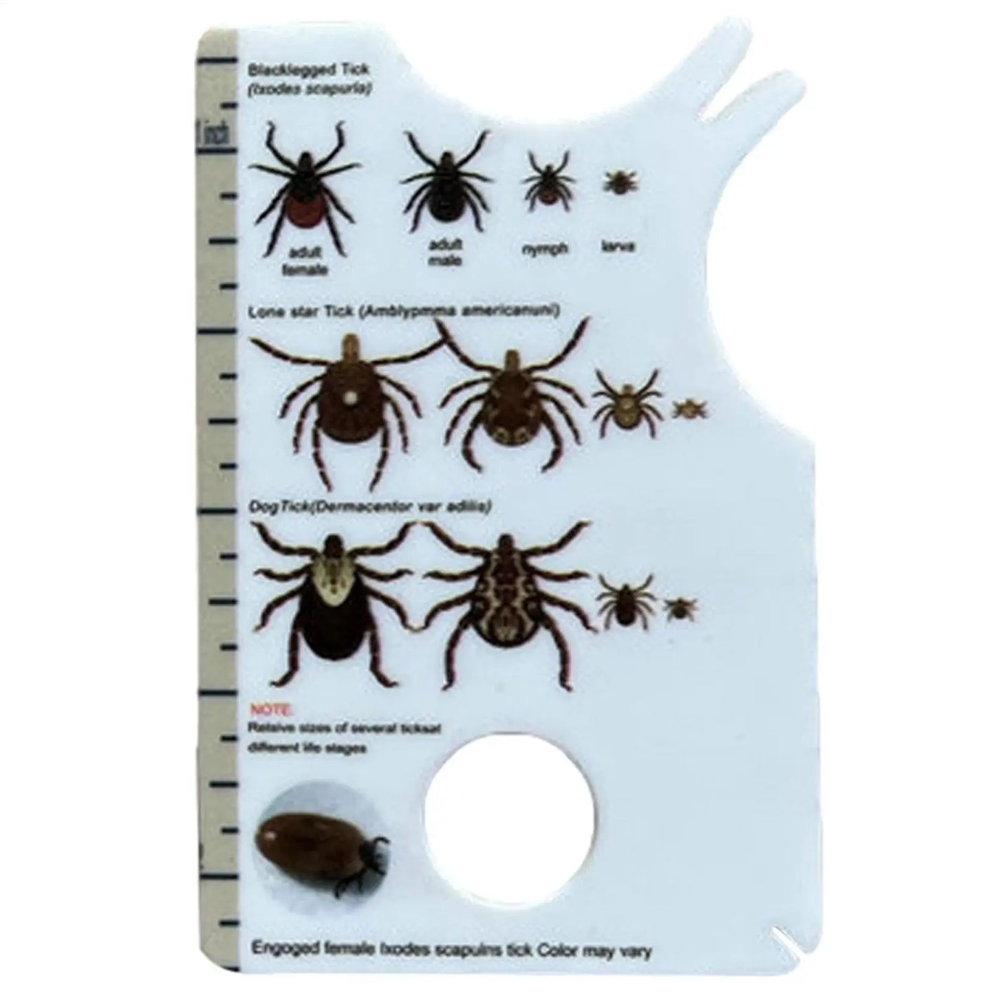 Tick Card For Children Allows Low Risk Removal Of Ticks Portable Tick Card With Magnifier For Gently Remove Ticks From People Peaceful Pleasures Health and Wellness