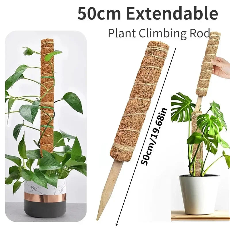 Green Basket Climbing Column Coconut Brown Rod Turtle Back Bamboo Support Rod Fixing Bracket Peaceful Pleasures Health and Wellness 1PC 50cm