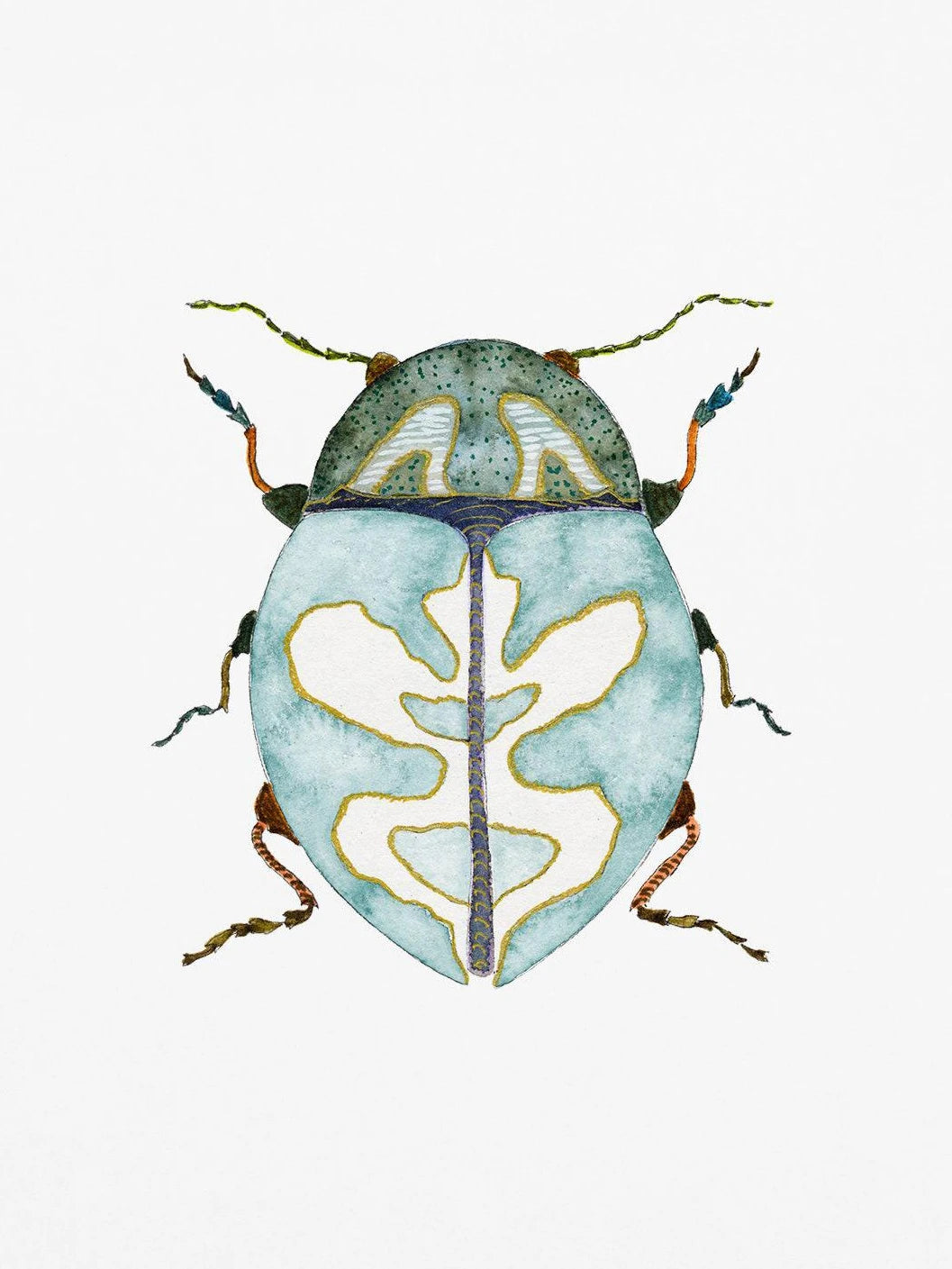 Watercolor Insect Canvas Print | Nursery & Kids Room Wall Art