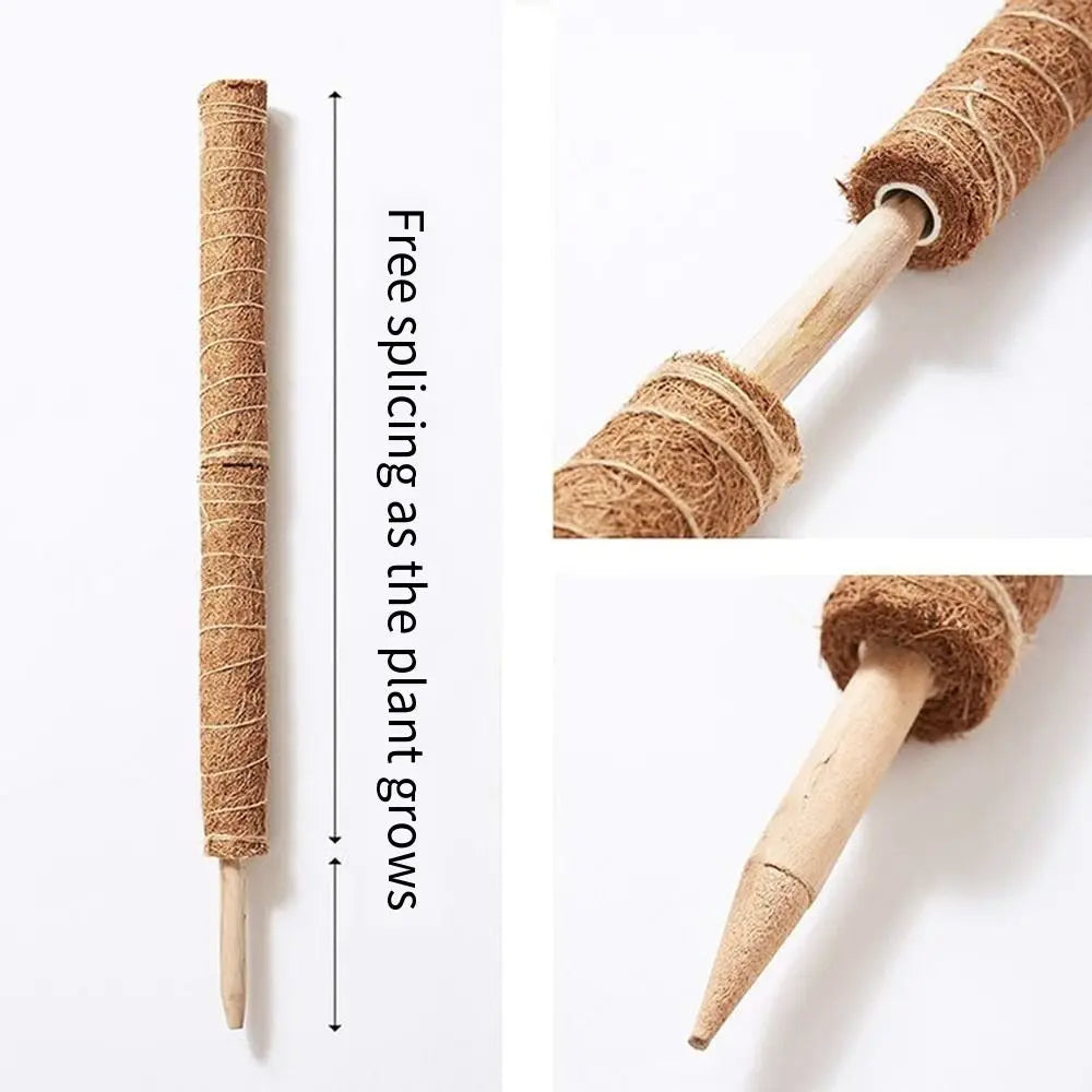 Stackable Coir Moss Pole 30/40/50cm | Plant Climbing Support