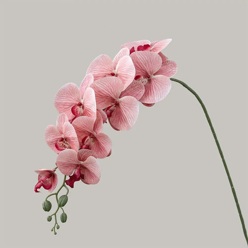 9-Head Artificial Phalaenopsis Orchid Branch | Real Touch Flowers