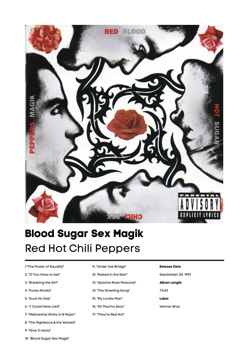 Music Album Cover Canvas Poster | Mac DeMarco, RHCP & More
