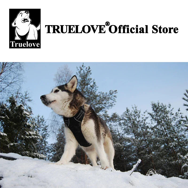 Truelove Dog Harness No Pull Pet Harness Adjustable Soft Padded Dog Vest Reflective No Choke PetVest Easy Control Handle TLH5651 Peaceful Pleasures Health and Wellness