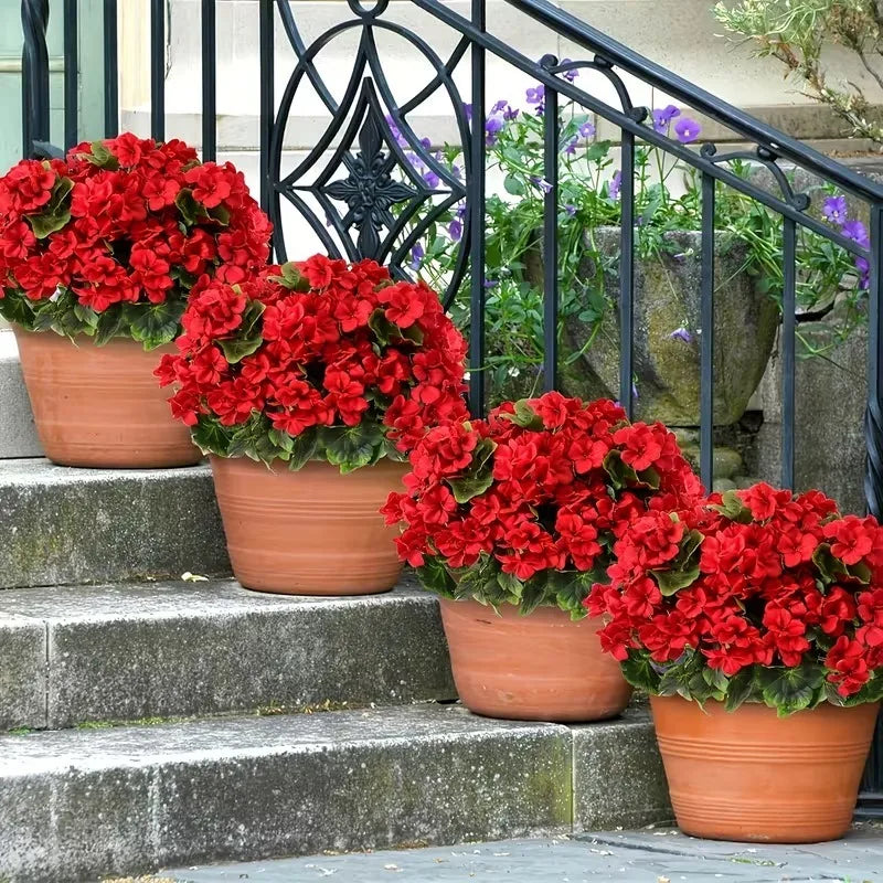 Silk Begonia Geranium Artificial Flower Arrangement | Home Decor