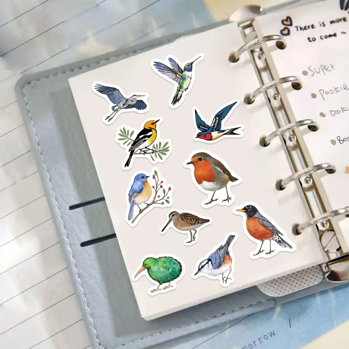 500 Cartoon Bird Stickers Roll – Waterproof DIY Decals
