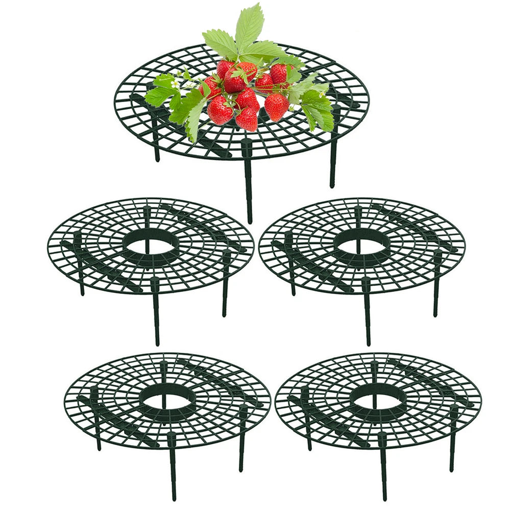 Strawberry & Vine Plant Support Stands – Elevated Fruit Rack Peaceful Pleasures Health and Wellness