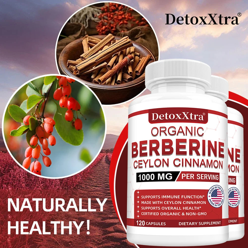 Berberine with Ceylon Cinnamon - Boosts Immunity, Promotes Digestive Health, Improves Bodily Functions, Increases Energy Levels Travel Accessories Peaceful Pleasures Health and Wellness