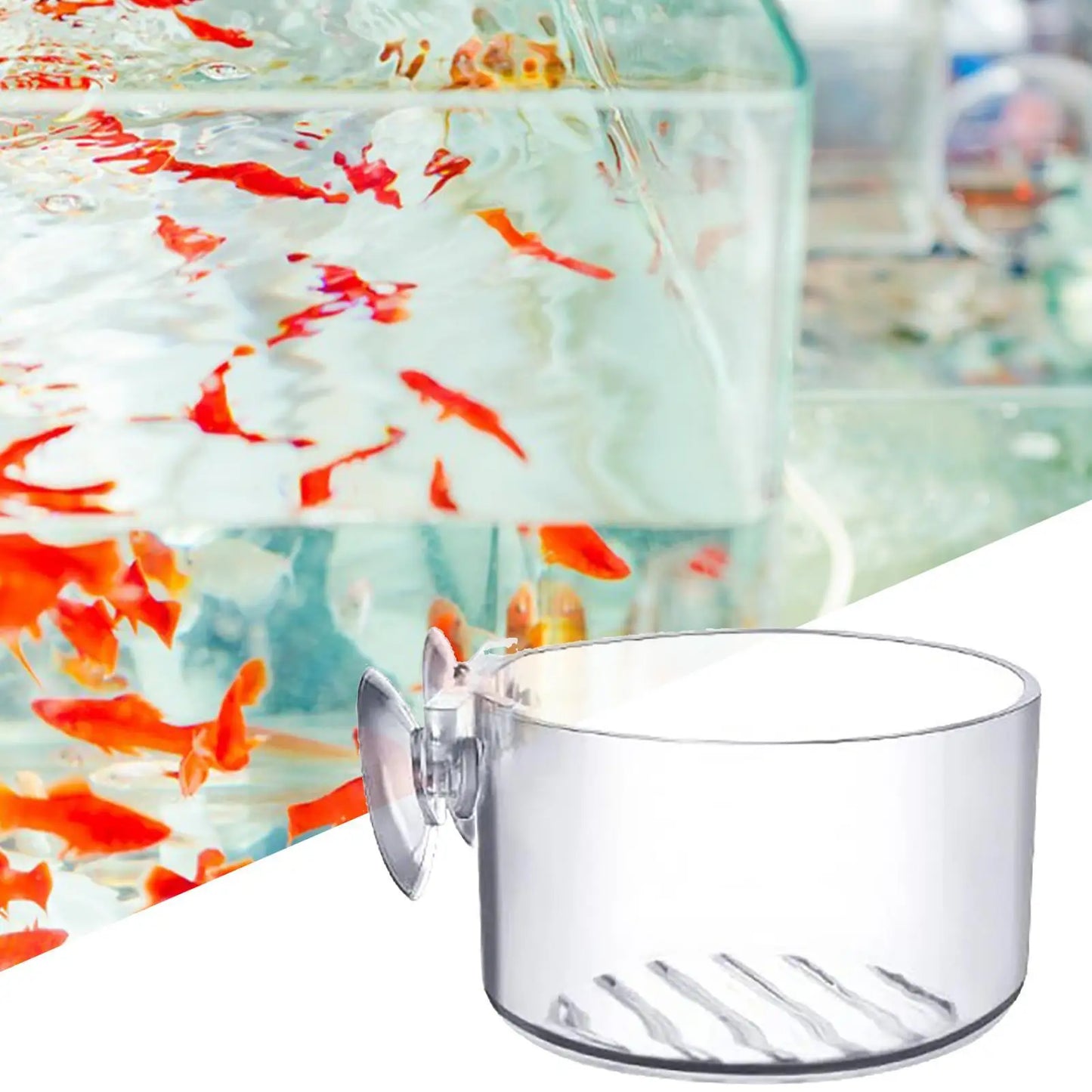 Acrylic Aquarium Plant Cup with Suction Holder | Fish Tank Pot