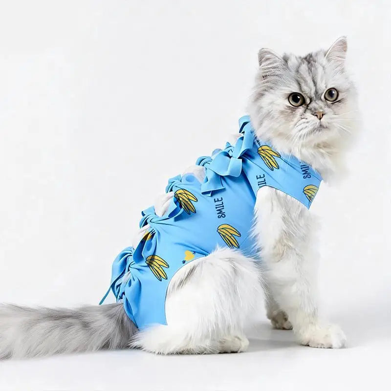 Cat Recovery Suit – Post-Op Anti-Licking Protective Clothing