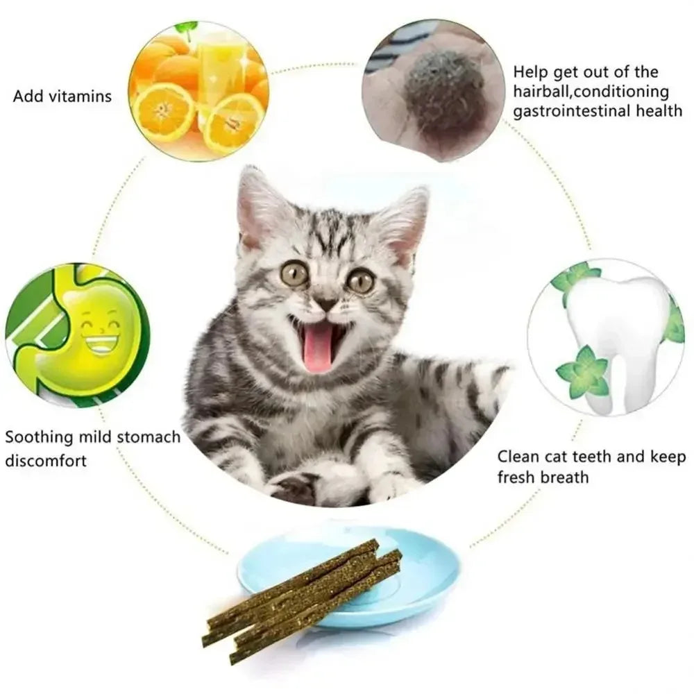 6pcs Natural Matatabi Cat Stick Mint Caught Bite Excited Rods Silvervine For Cat Teeth Cleaning Treating Pet Supply Cat Toys Peaceful Pleasures Health and Wellness