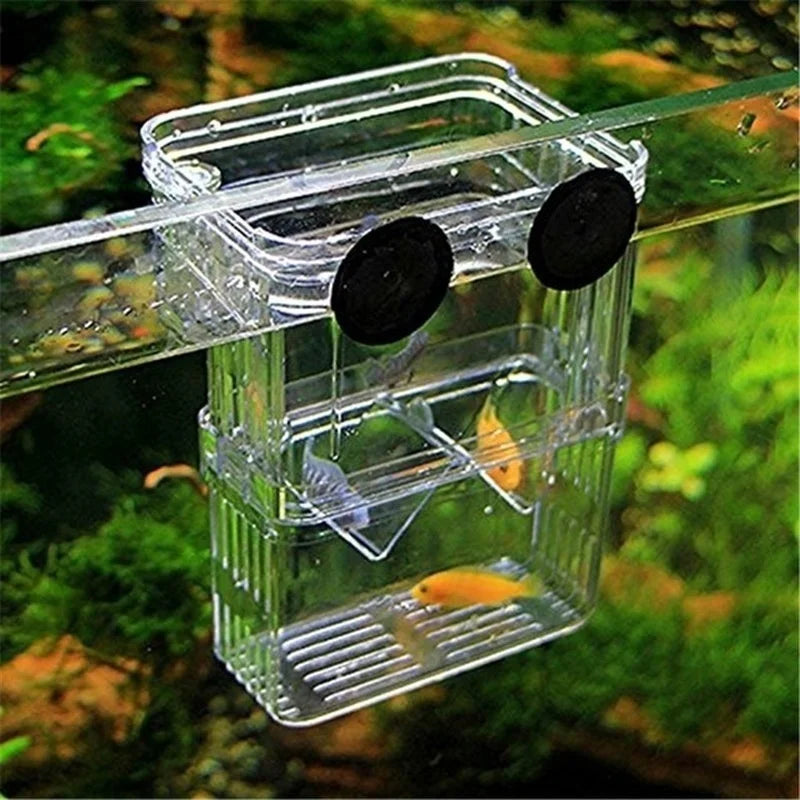 Multifunctional Fish Aquarium Clear Breeding Isolation Box Breeder