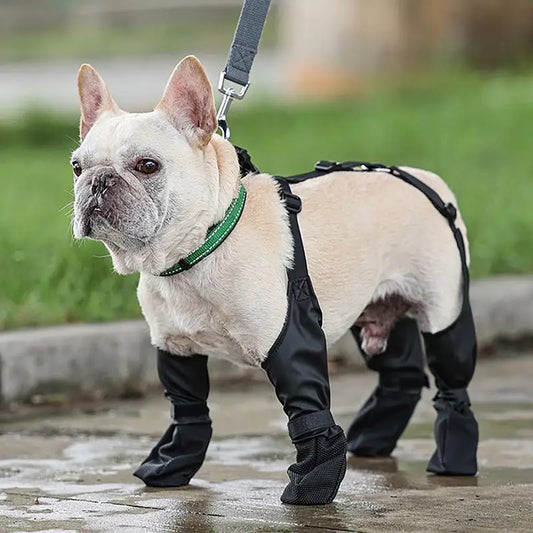 Waterproof Anti-Slip Dog Shoes Paw Protector Booties S/M/L Dog Boots Peaceful Pleasures Health and Wellness L China Mainland