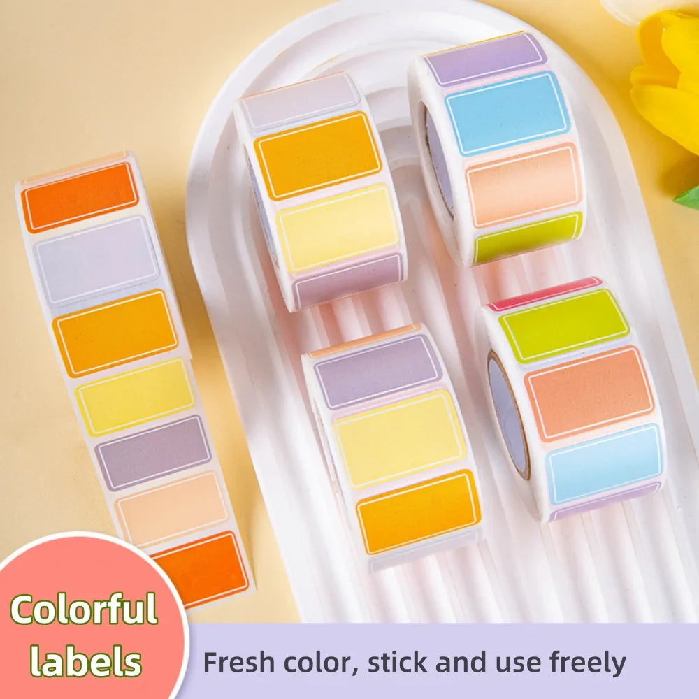 500 Waterproof Color-Coding Removable Labels for Organization