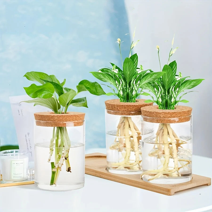 3 Pcs Acrylic Vase with Bamboo Tray – Clear Propagation Station Set for Tabletop Water Planting & Home Decor