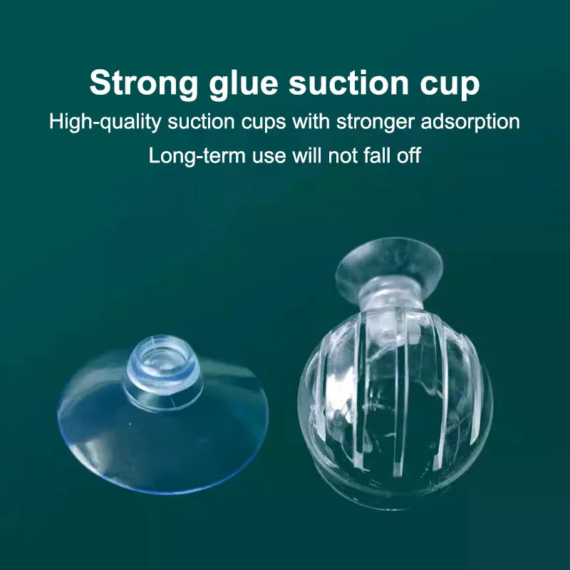 Acrylic Aquarium Plant Cup & Fish Feeding Container | Suction