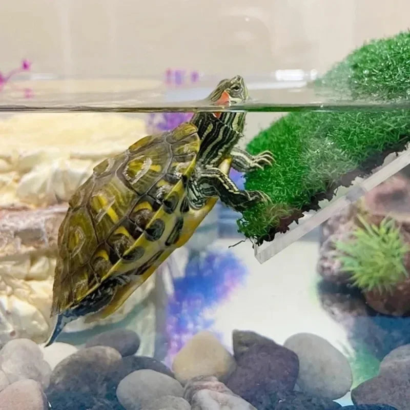 Turtle Basking Platform Ramp Dock | Reptile Terrarium Accessory