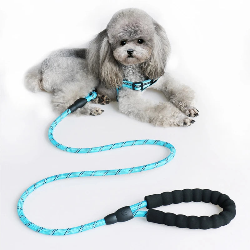 3m Pet Reflective Nylon Tow Rope Non Slip Foam Handle Pet Adjustable Towing Ropes Large Middle Small Dogs Outdoors Pet Supplies Peaceful Pleasures Health and Wellness