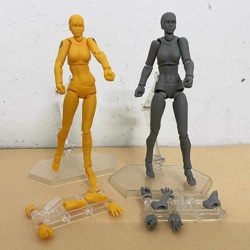 Artist Figure Art Painting Anime Sketch Draw Male Female Body Movable