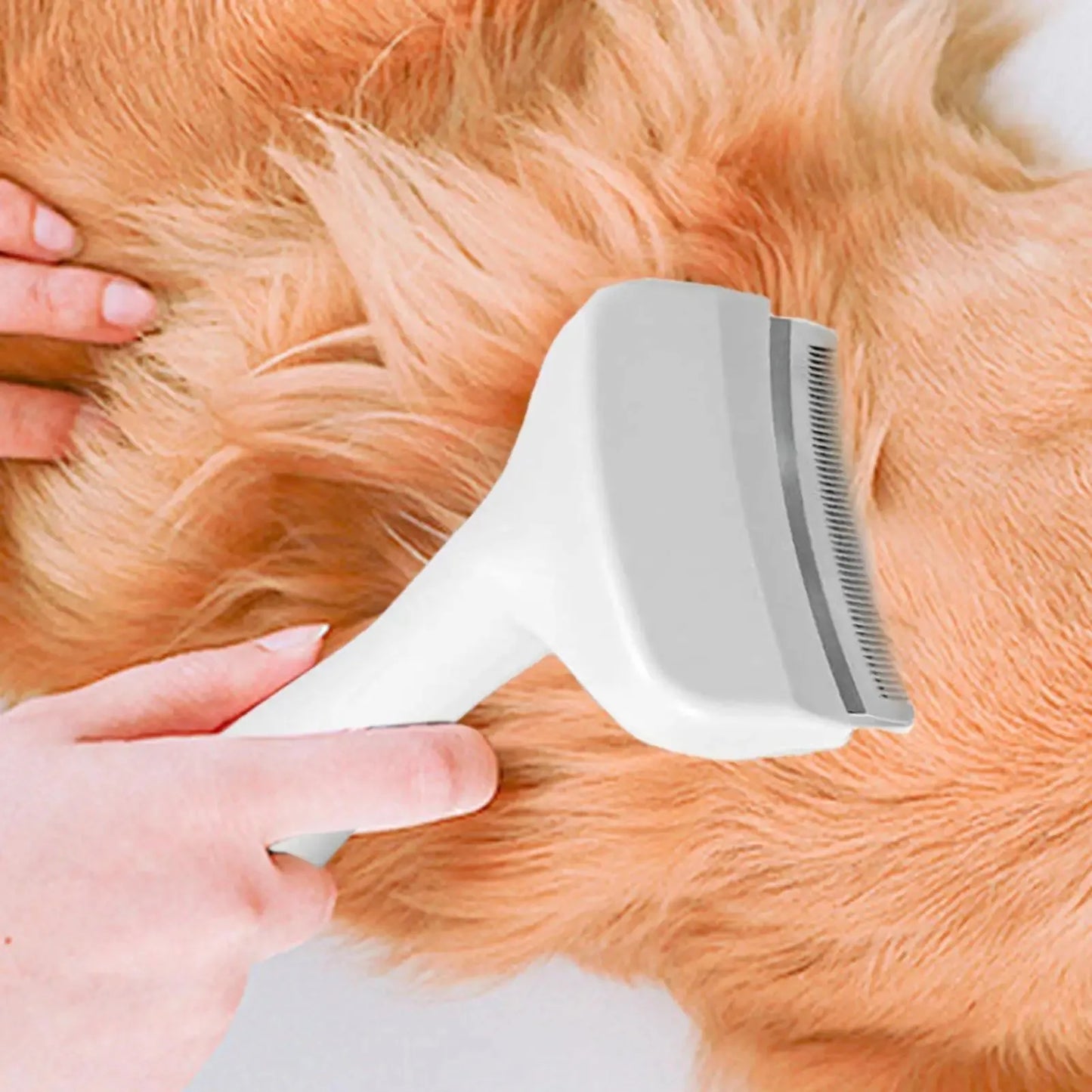 Pet Slicker Brush & Deshedding Comb for Dogs & Cats