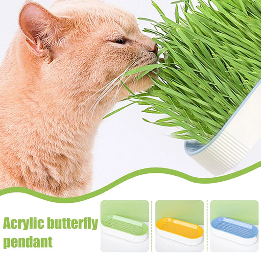 Soilless Cat Grass Hydroponic Growing Kit | Seed Tray Set Cat Grass Growing Kit Peaceful Pleasures Health and Wellness