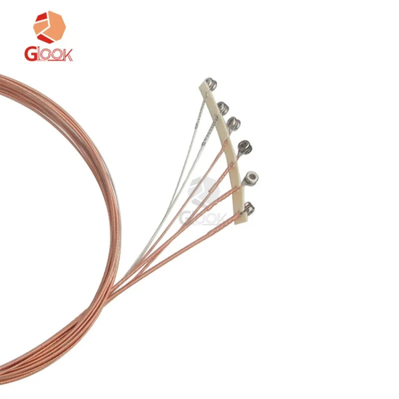 Alice Guitar Strings 010 Acoustic 1-6 String 6 AW466-L SL