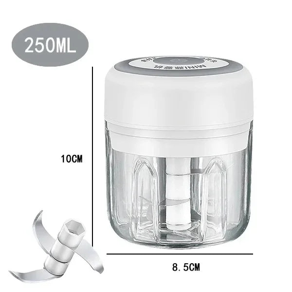 USB Electric Mini Food Chopper – Garlic Masher 100/250ml