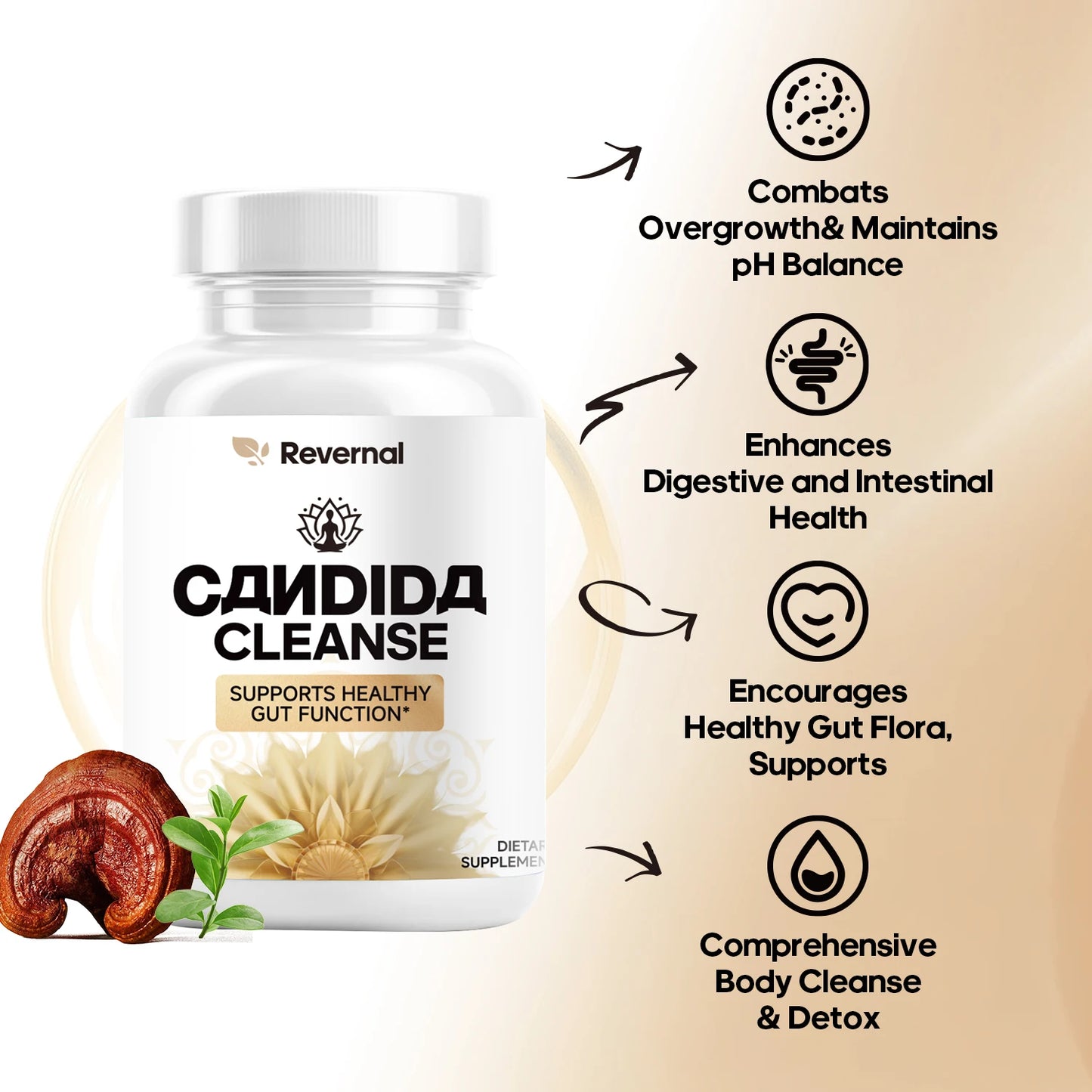 Candida Cleanse – Gut & Colon Support with Oregano Leaf Peaceful Pleasures Health and Wellness