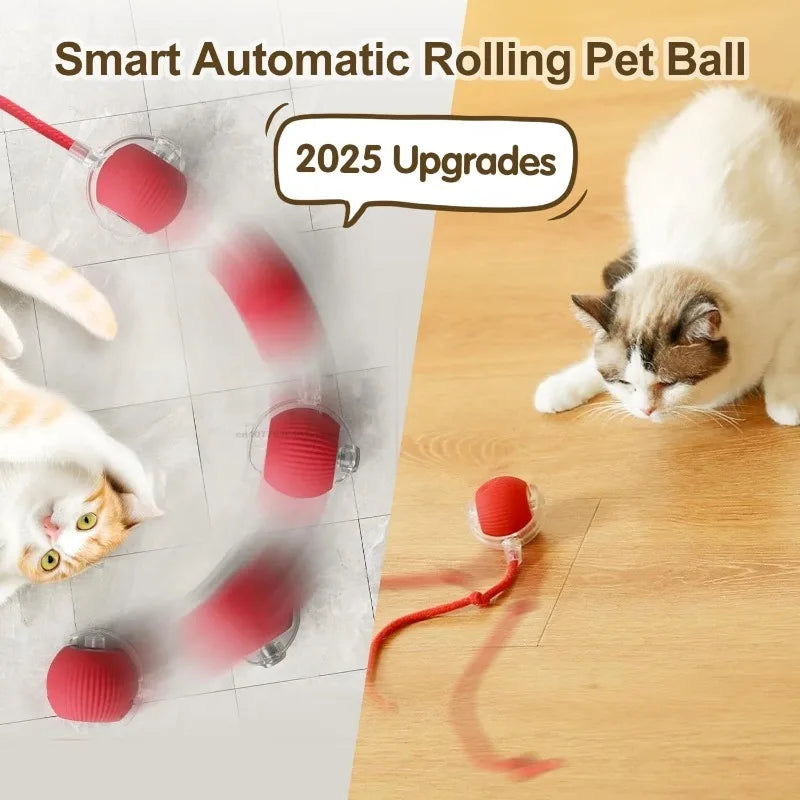 Electric Self-Moving Cat Ball Toy | Auto Rolling Interactive Play
