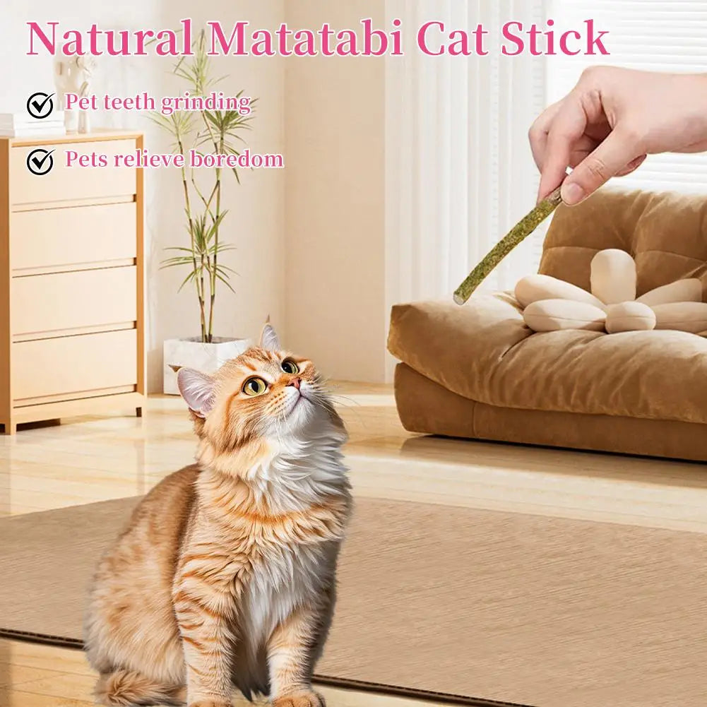 6-Pack Silvervine Matatabi Cat Chew Sticks | Dental & Play Toy