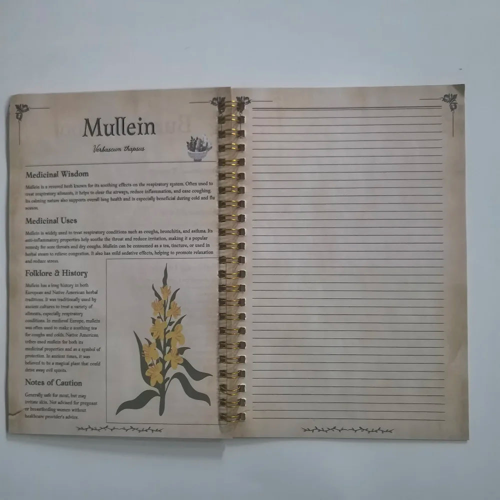 Tincture Recipes Book Apothecary Collection Natural Remedles Guide