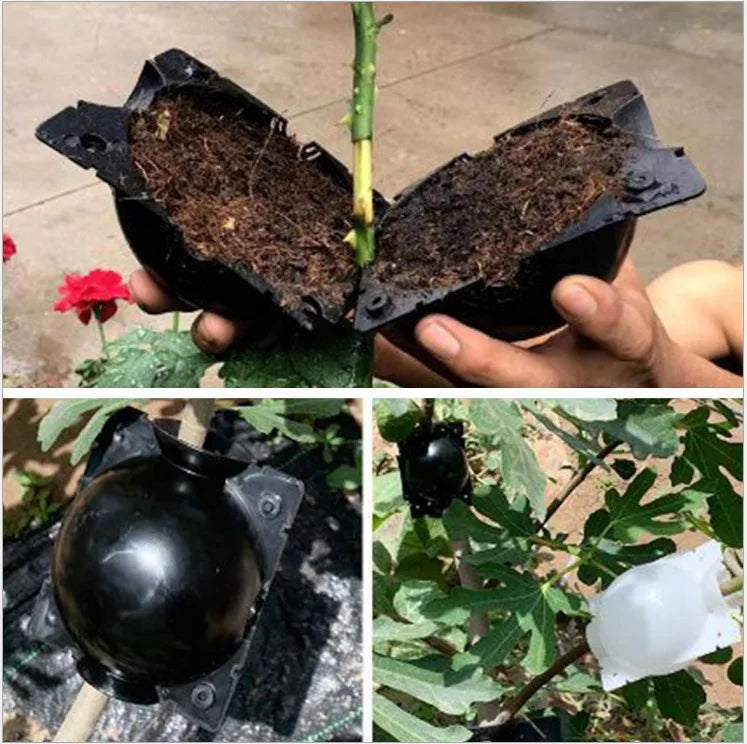 Reusable Plant Rooting Balls – Air Layering Propagation Kit