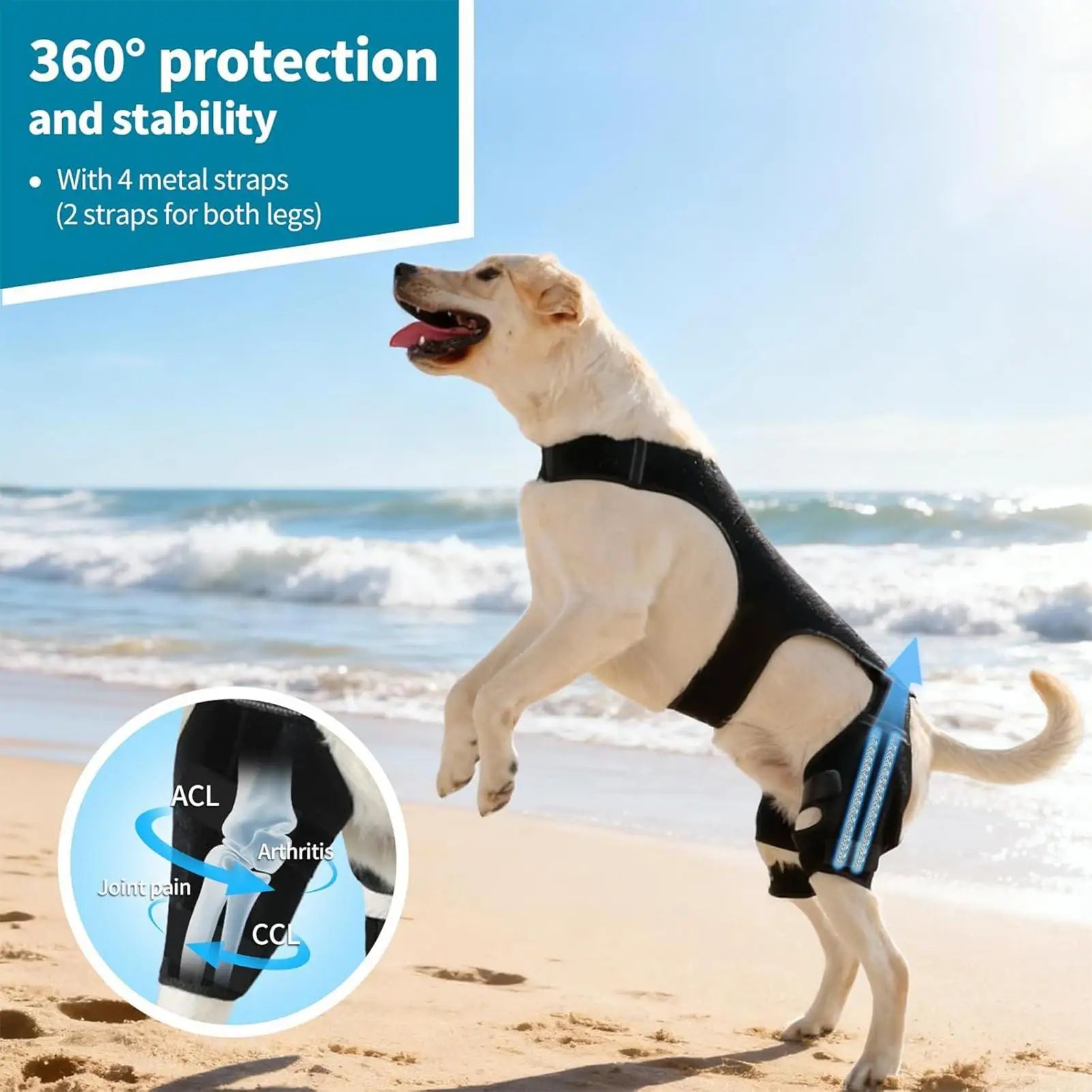 Dog Knee Brace | Adjustable Rear Leg Support & Metal Stabilizers Dog Knee Brace Peaceful Pleasures Health and Wellness