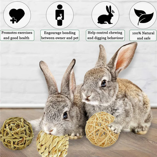 A36T-Small Animal Activity Toy,Pets Play Chew Toys For Bunny Rabbits Guinea Pigs Gerbils, 12 Pack Peaceful Pleasures Health and Wellness Natural Grass Color