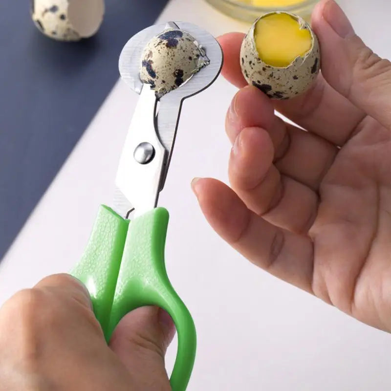 Pigeon Quail Open Crack Small Egg Shell Scissor Cut Bird Eggshell Separator Cigar Cutter Opener Tool Clipper Kitchen Tools Peaceful Pleasures Health and Wellness