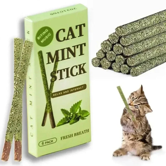 Natural Silvervine Matatabi Cat Chew Sticks – 6 Pack | Teeth Care Cat Chew Toy Oasis Select style1 6PCS